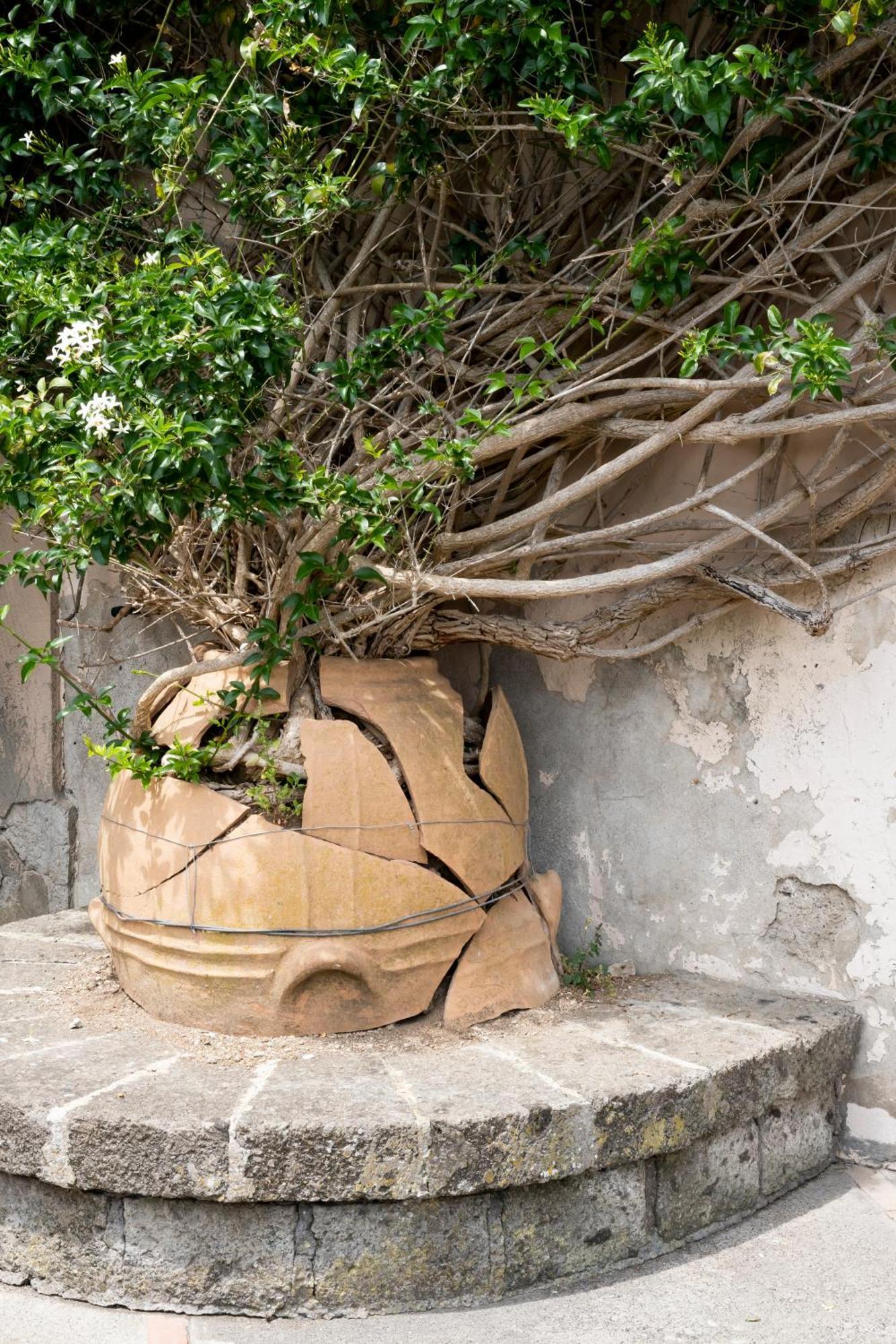 Villa Il Turro Massa Lubrense Ngoại thất bức ảnh
